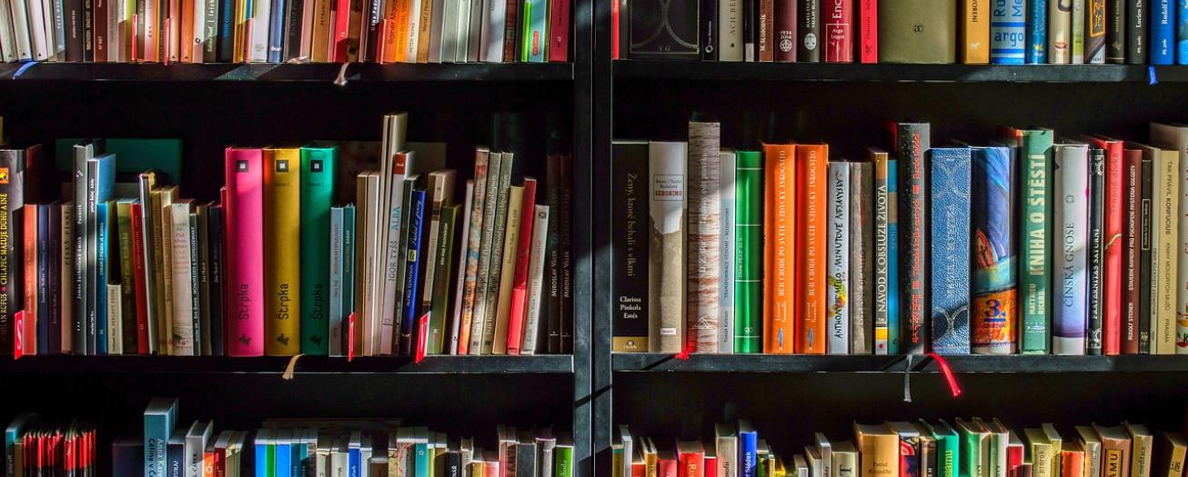 La educación une: Pausa para reflexionar y construir juntos