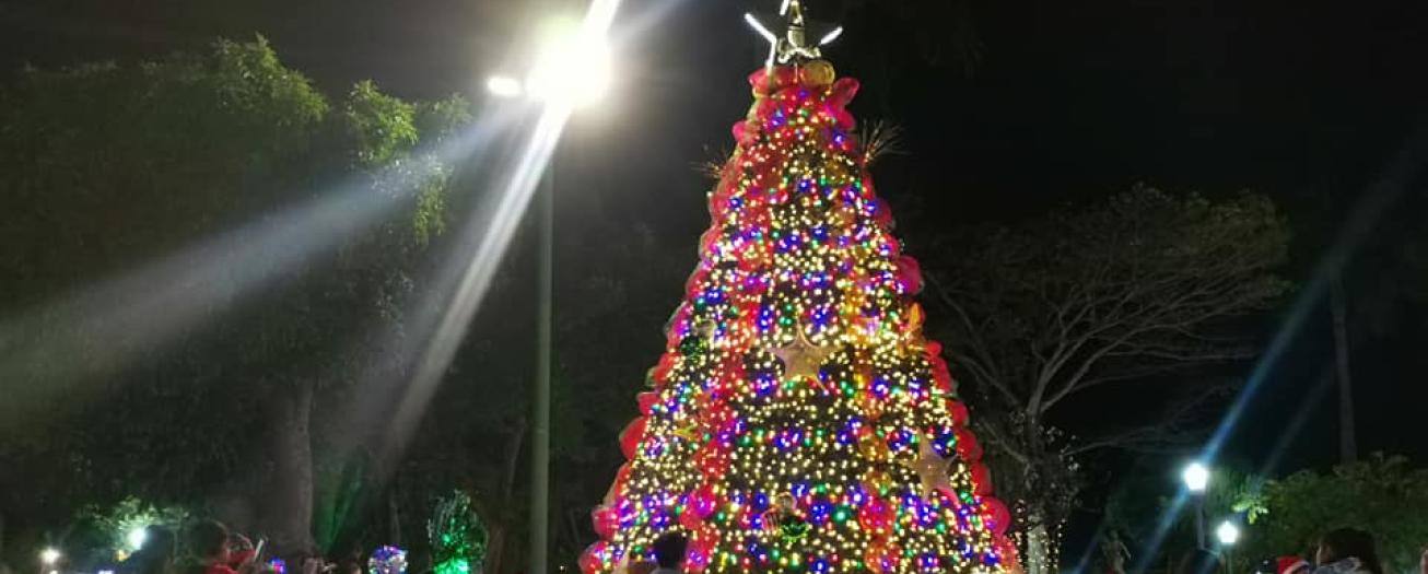 Grecia da bienvenida a la navidad con iluminación del árbol