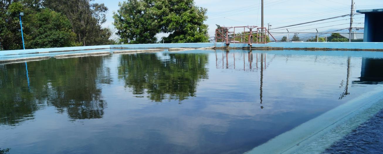 AyA anuncia que entrada de la época seca aún no afecta el suministro  de agua potable en el país 