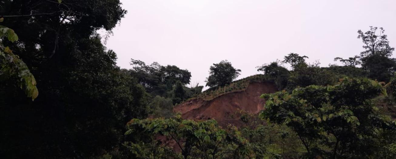 MAG habilita línea telefónica para productores agropecuarios afectados por condiciones climáticas recientes