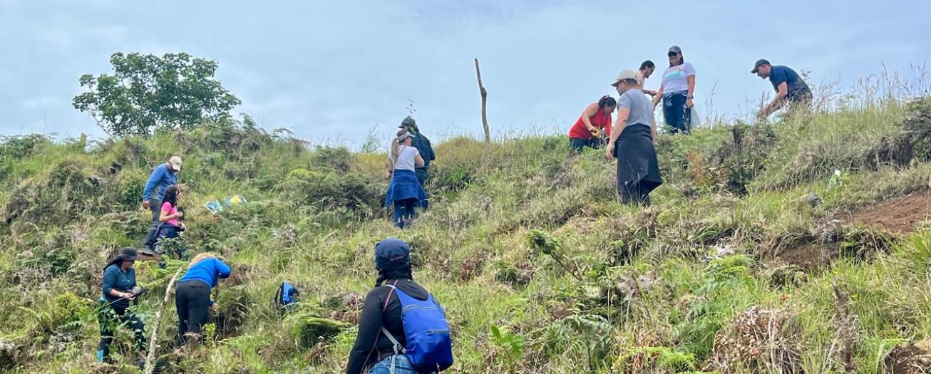Plantan 150 árboles nativos en  Laguna de Zarcero