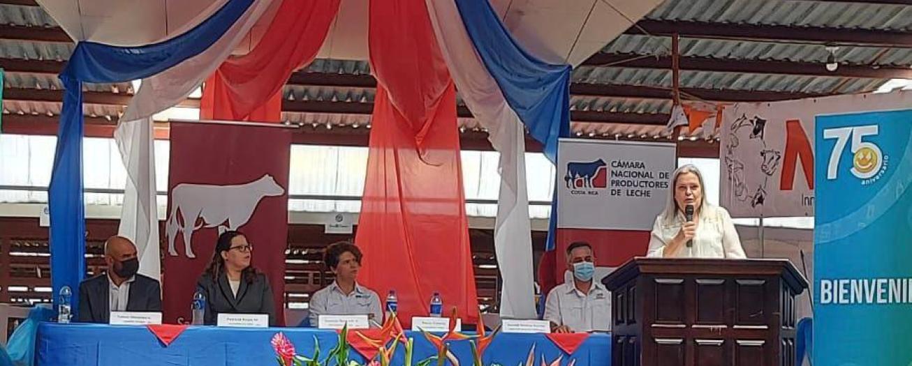 Sector lácteo costarricense enfrenta dificultados con innovación y mejoramiento genético