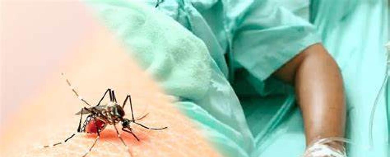 Salud registra dos fallecidos por dengue en la provincia de Alajuela