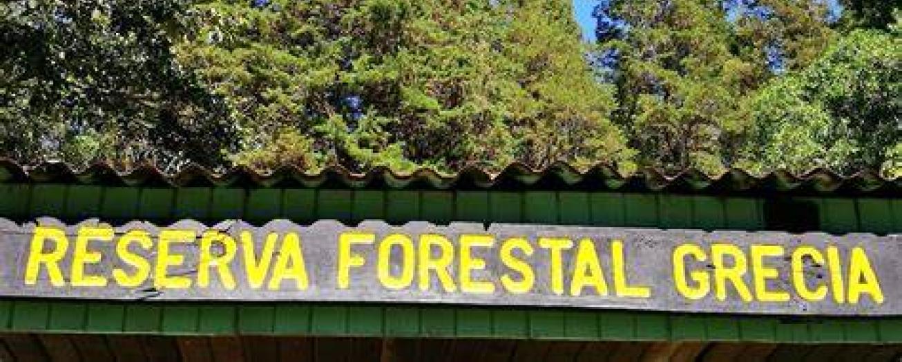 Carta abierta a los vecinos del cantón de Grecia
