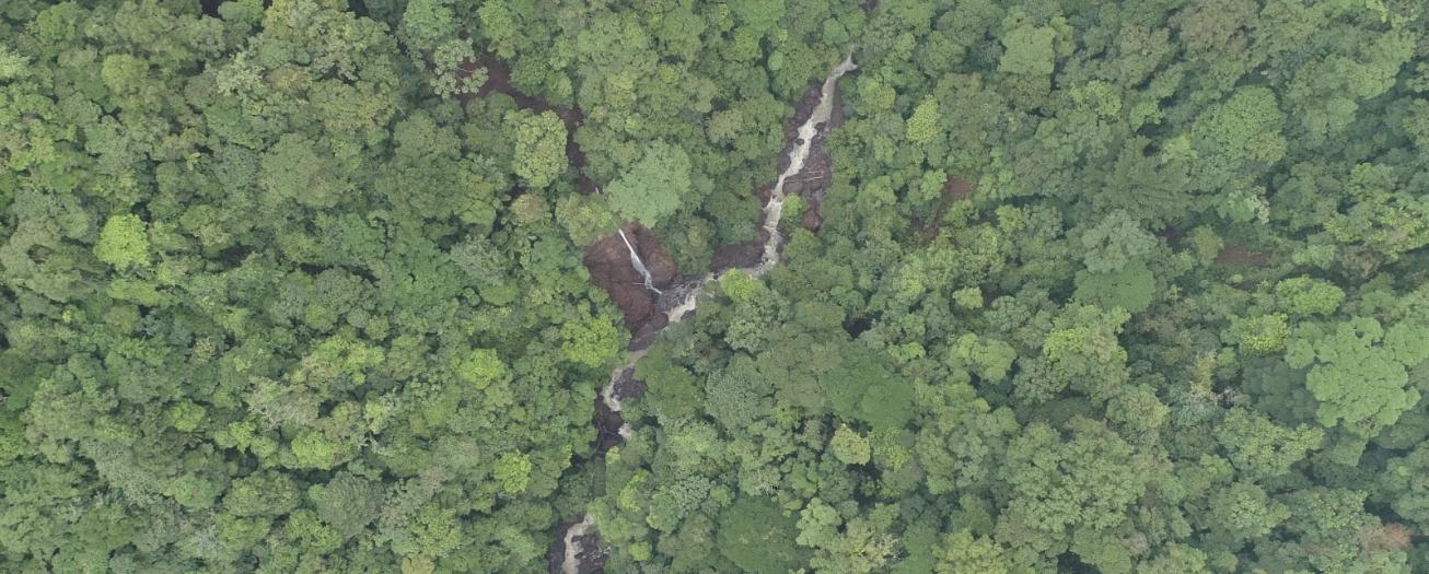 CNE y Comité Municipal realizan monitoreo constante en el cauce del río La Esperanza en San Ramón