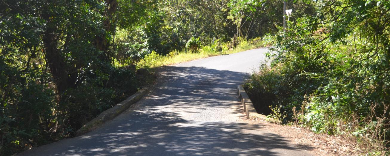 Municipalidad de Grecia sin dinero para arreglar puentes