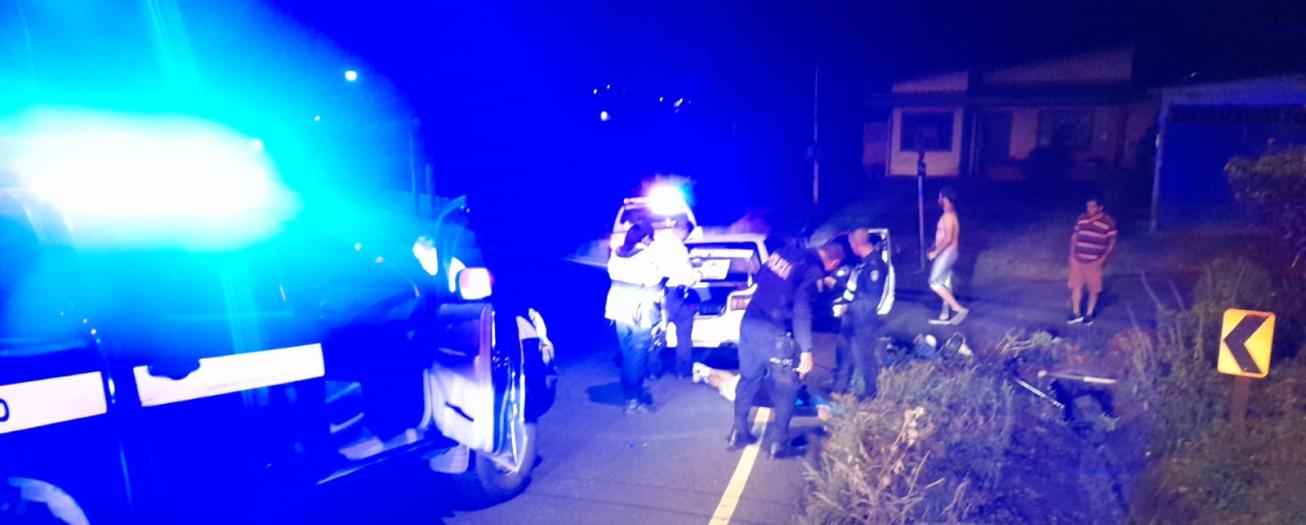 Fuerza Pública detiene a dos sujetos involucrados en robos en San Isidro y Cedro