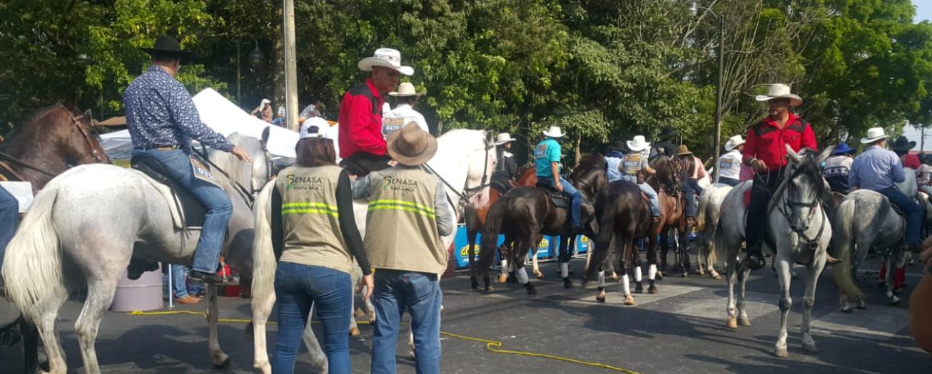 Tope de Palmares será supervisado por SENASA y la Asociación Cívica Palmareña