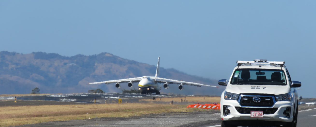 Monitoreo de fauna halló más de 14 mil animales en las cercanías del Aeropuerto Juan Santamaría durante el 2022