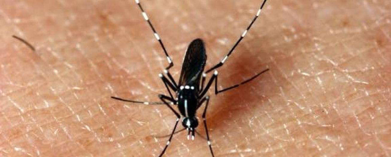 Salud confirma segundo caso positivo de Chikungunya