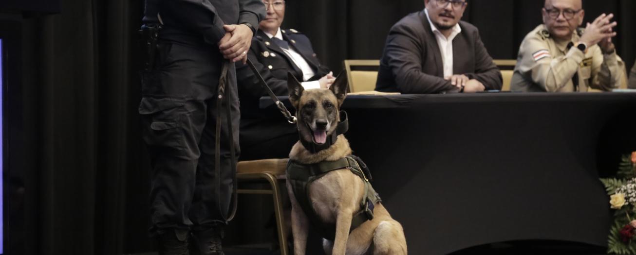 Unidad Canina de la Fuerza Pública rinde homenaje a canes en retiro y       reconoce la labor de sus oficiales