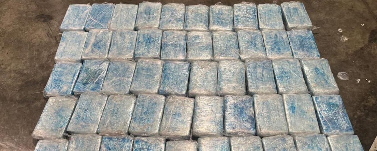 Operación Soberanía decomisa 50 kilos de cocaína en sistema de refrigeración de contenedor