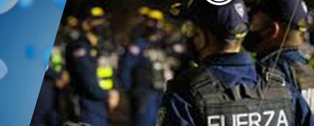 Estudio evidencia que mujeres lideran estructuras criminales  con estrategias menos violentas