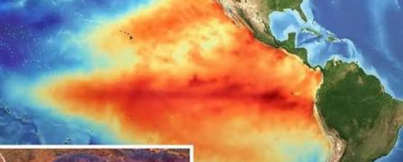 Altas temperaturas por El Niño obligan a reforzar cuidados  en conservación de alimentos, advierte UNED