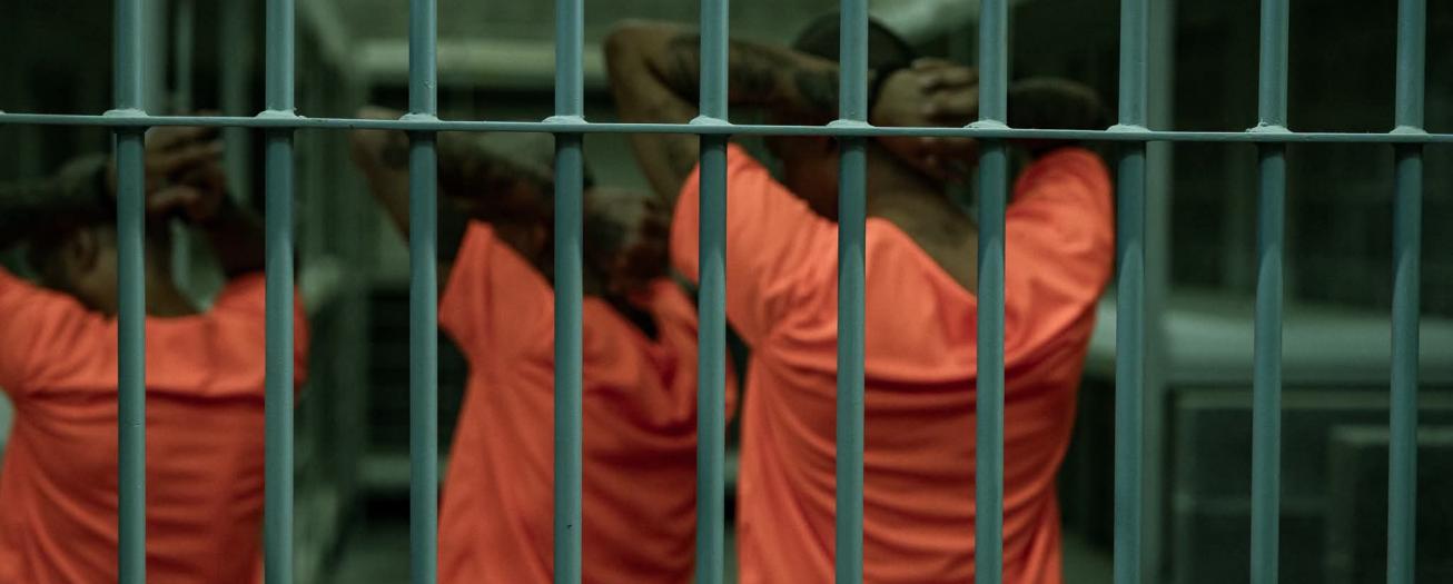 Exhibición de privados de libertad no resuelve causas  de criminalidad, señala UNED