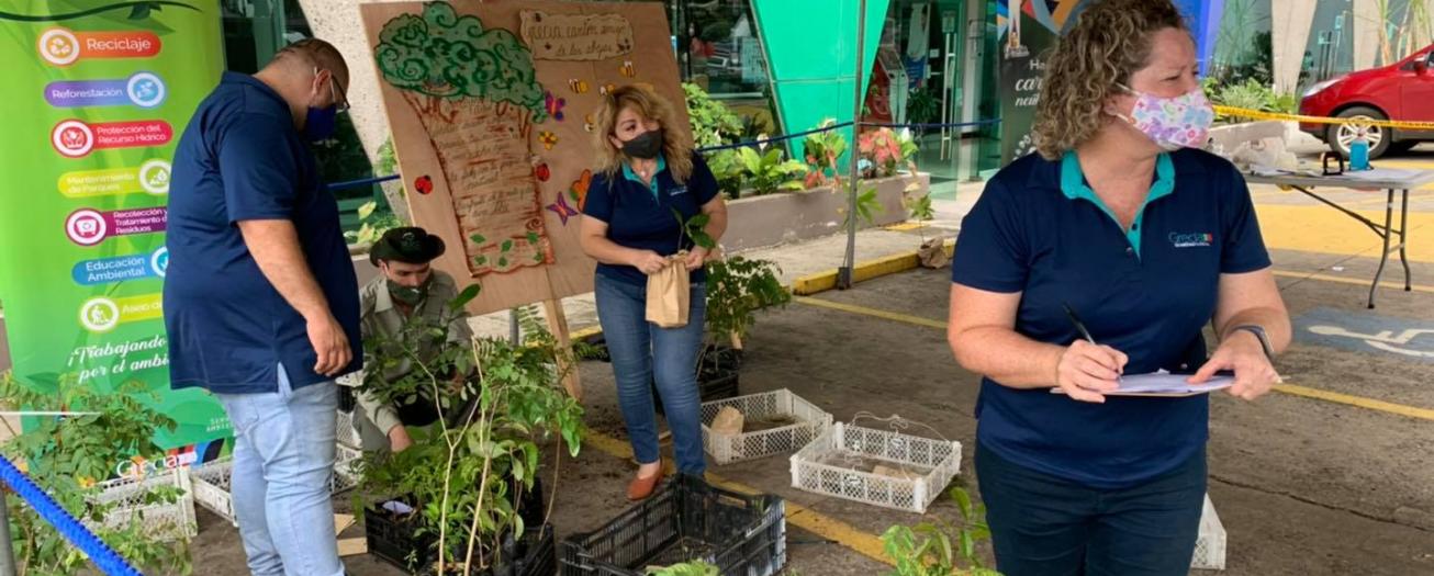 Municipalidad regala 600 árboles para reforestar el cantón