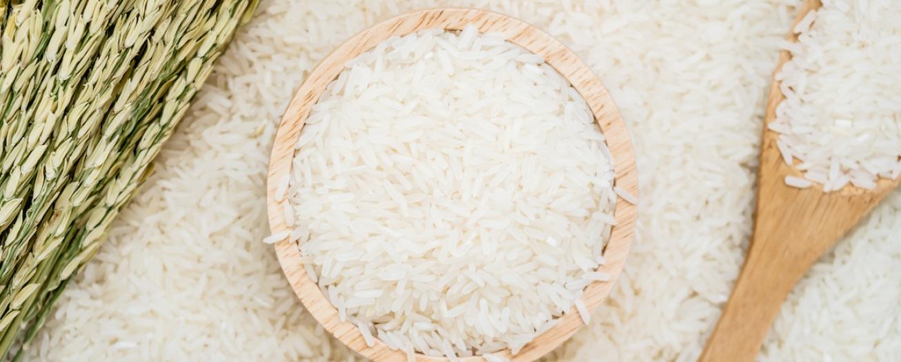 Ruta del Arroz contempla estrategia para fortalecer al sector arrocero