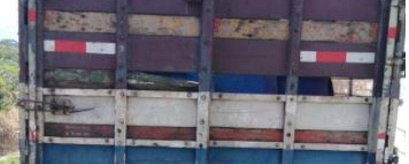 OIJ detiene a sospechosos del delito de Muerte Animal