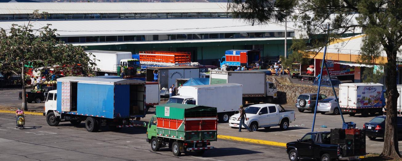 Gobierno inicia plan de ordenamiento CENADA 