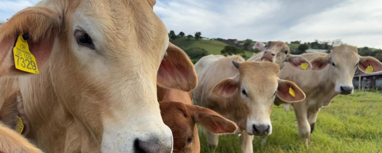 Gobierno reconoce legado de agricultores y productores en protección del ambiente