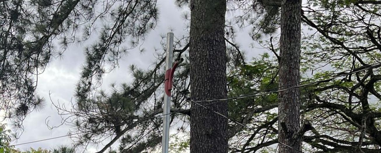 Instalaciones del Municipal Grecia víctima del hampa  