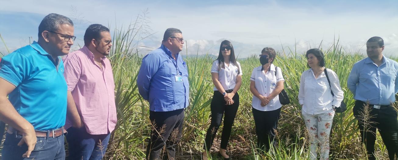 CCSS da luz verde a continuidad de construcción  Áreas de Salud en Grecia, Poás y San Ramón  