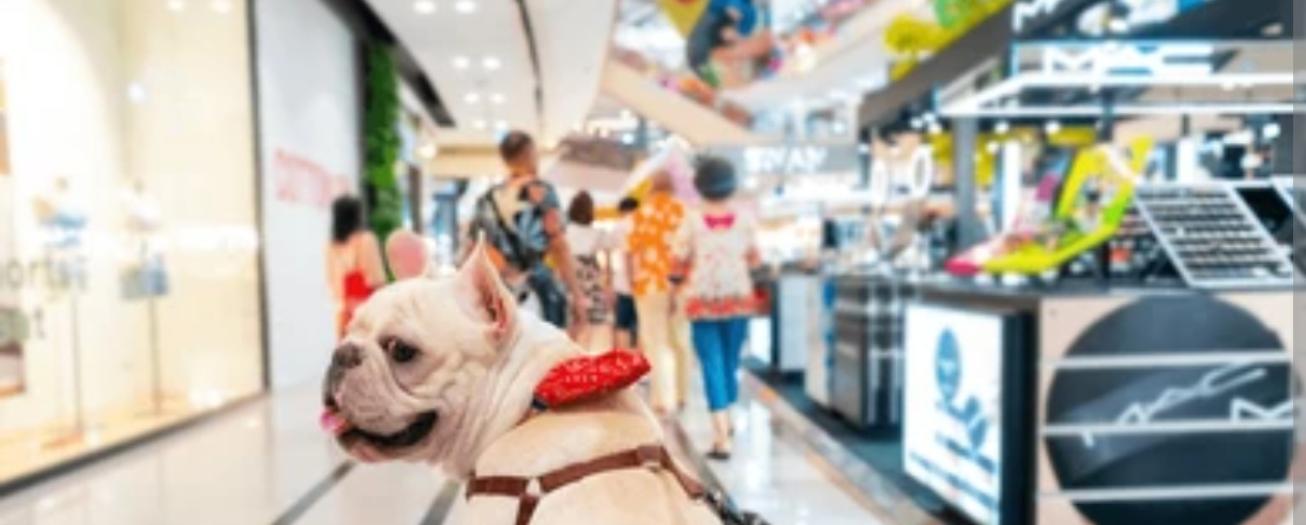 Salud refuerza regulación sobre ingreso de mascotas en comercios