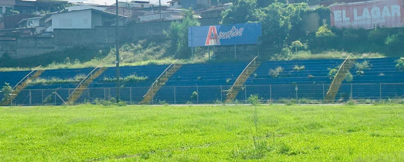 Estudios de geofísica y de perforación definirán futuro del estadio Allen Rigioni