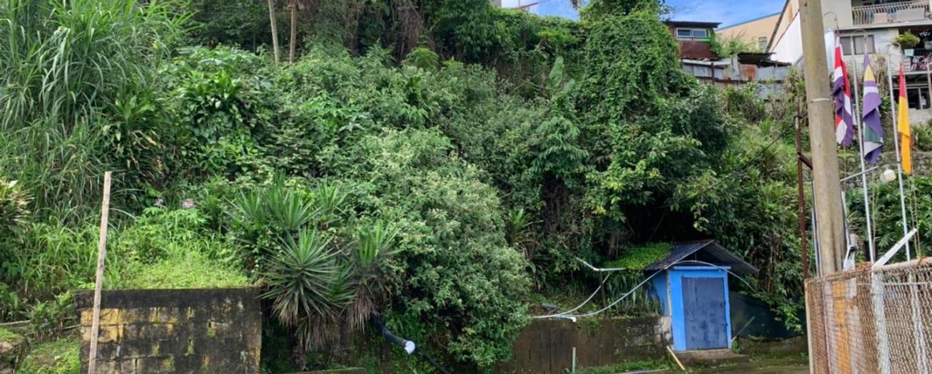 Naciente declarada como permanente impide realizar mejoras en el 60% del estadio Allen Rigioni 