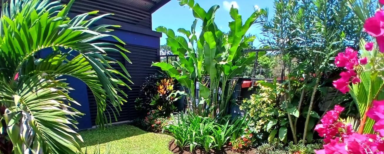  El jardín tropical: variedad y colores intensos 
